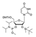 2'-O-TBDMS-5'-trifluoroacetamido-U-3'-CE-Phosphora